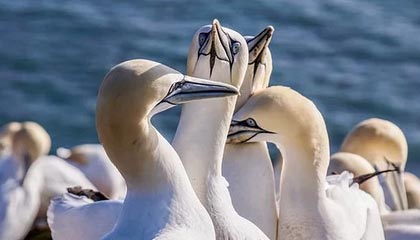 开云官网-英超赛季间国际冬训营盈利能力评估，英超冬季转会窗口时间2021