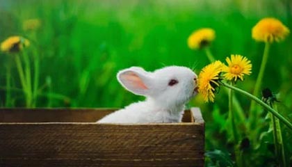 开云·体育官方网站入口-女子足球亚洲杯预选赛，中国队顺利晋级，女足亚洲杯2022