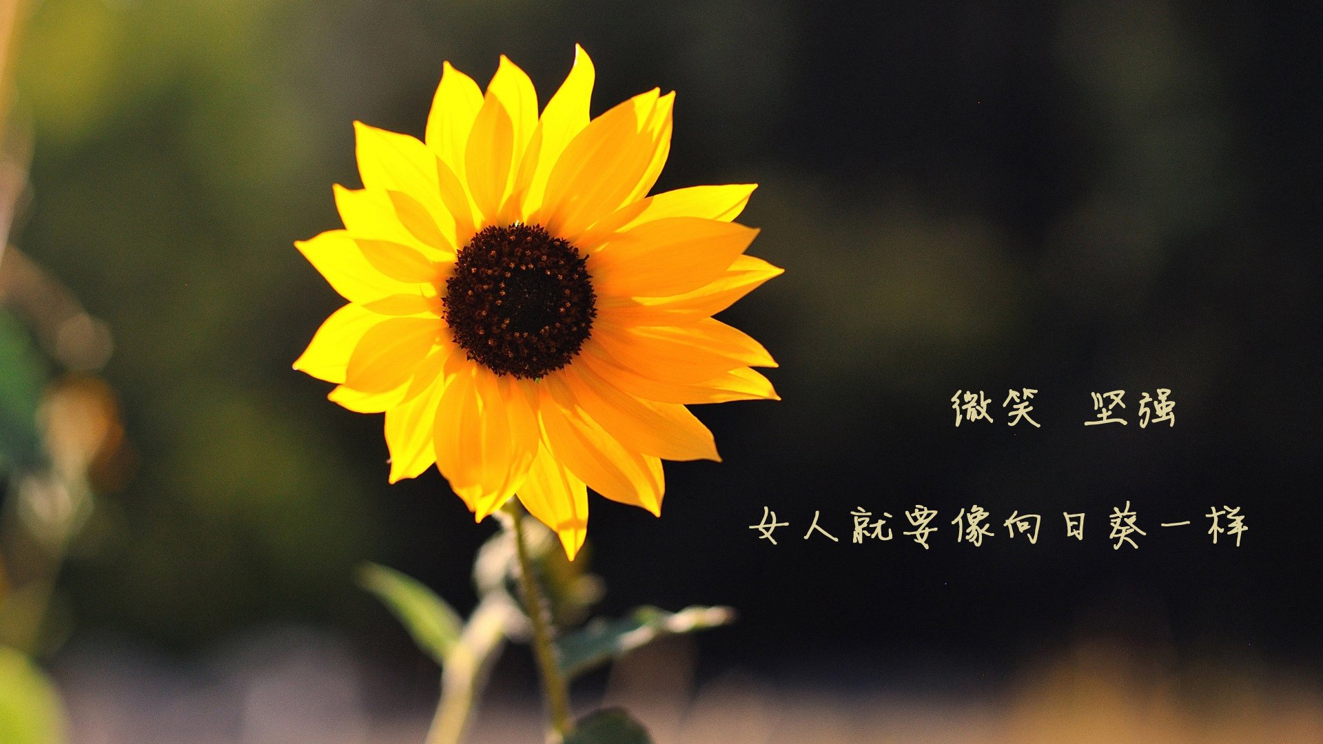 篮球运动员抗压能力培养，篮球运动员抗压能力培养方法