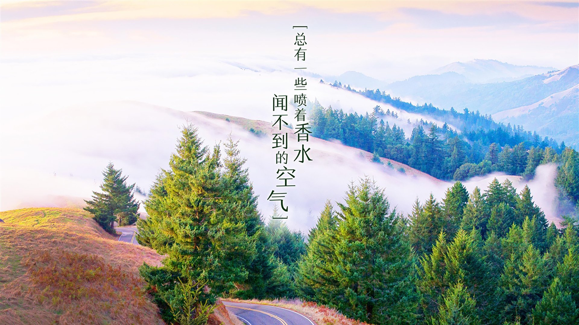 贝内文托防守失误导致败局，球队遭遇失利，贝内文托球员名单