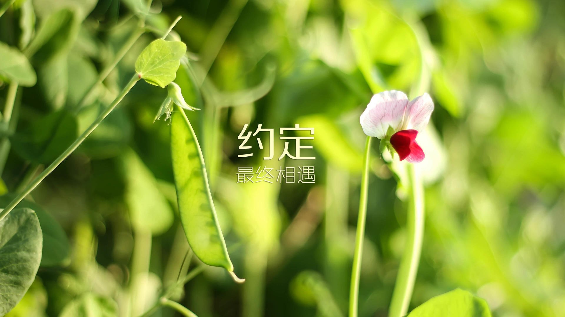 运动员训练效果科学评价，运动员科学训练的意义