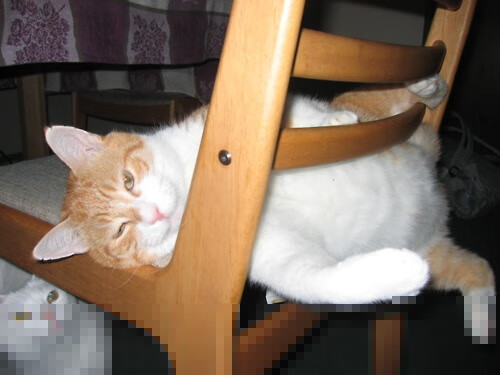 姆巴佩急需调整心态迎接未来挑战,姆巴佩何去何从