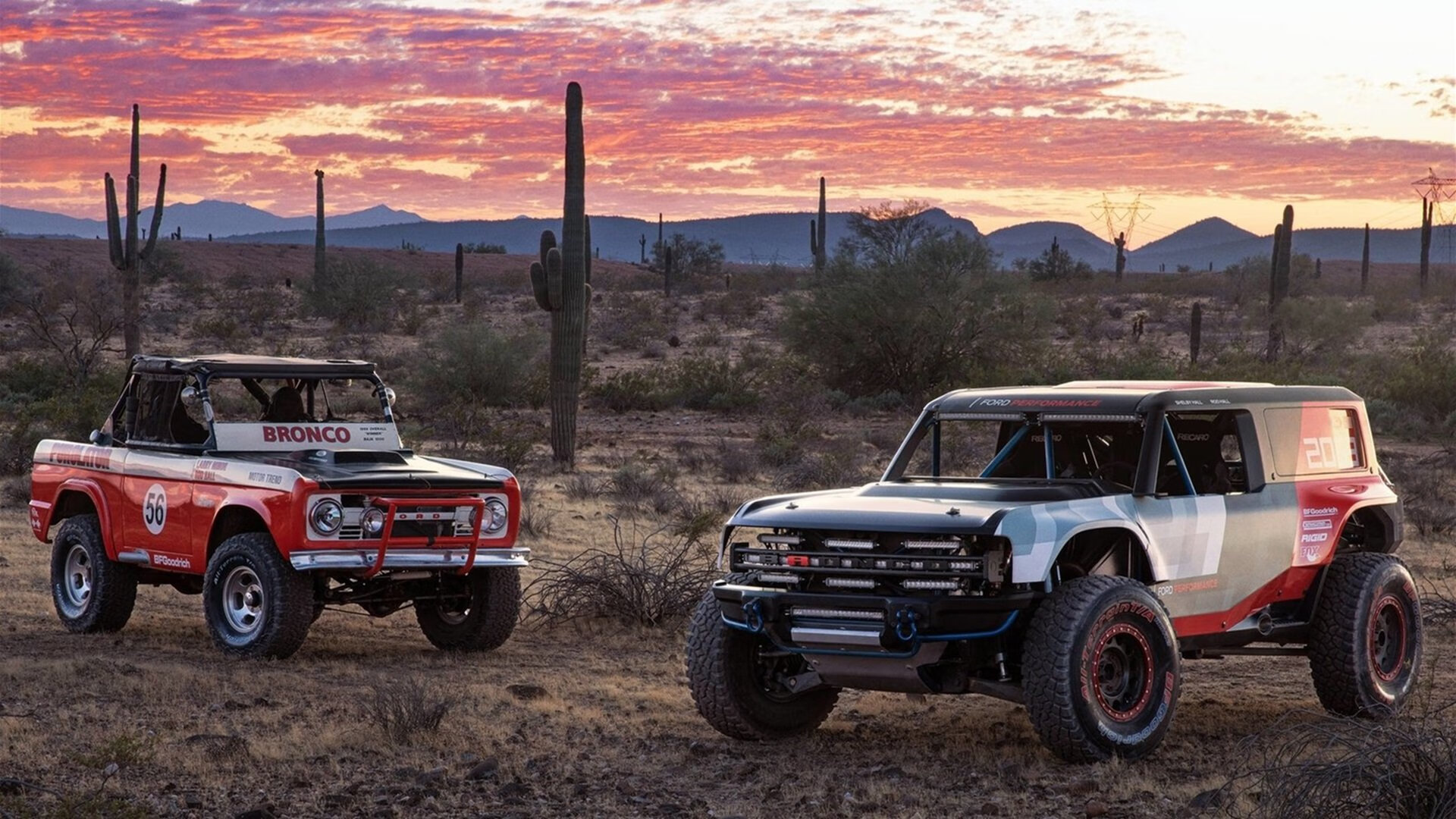 球员战术执行与认知存在断层，篮球运动员的战术意识