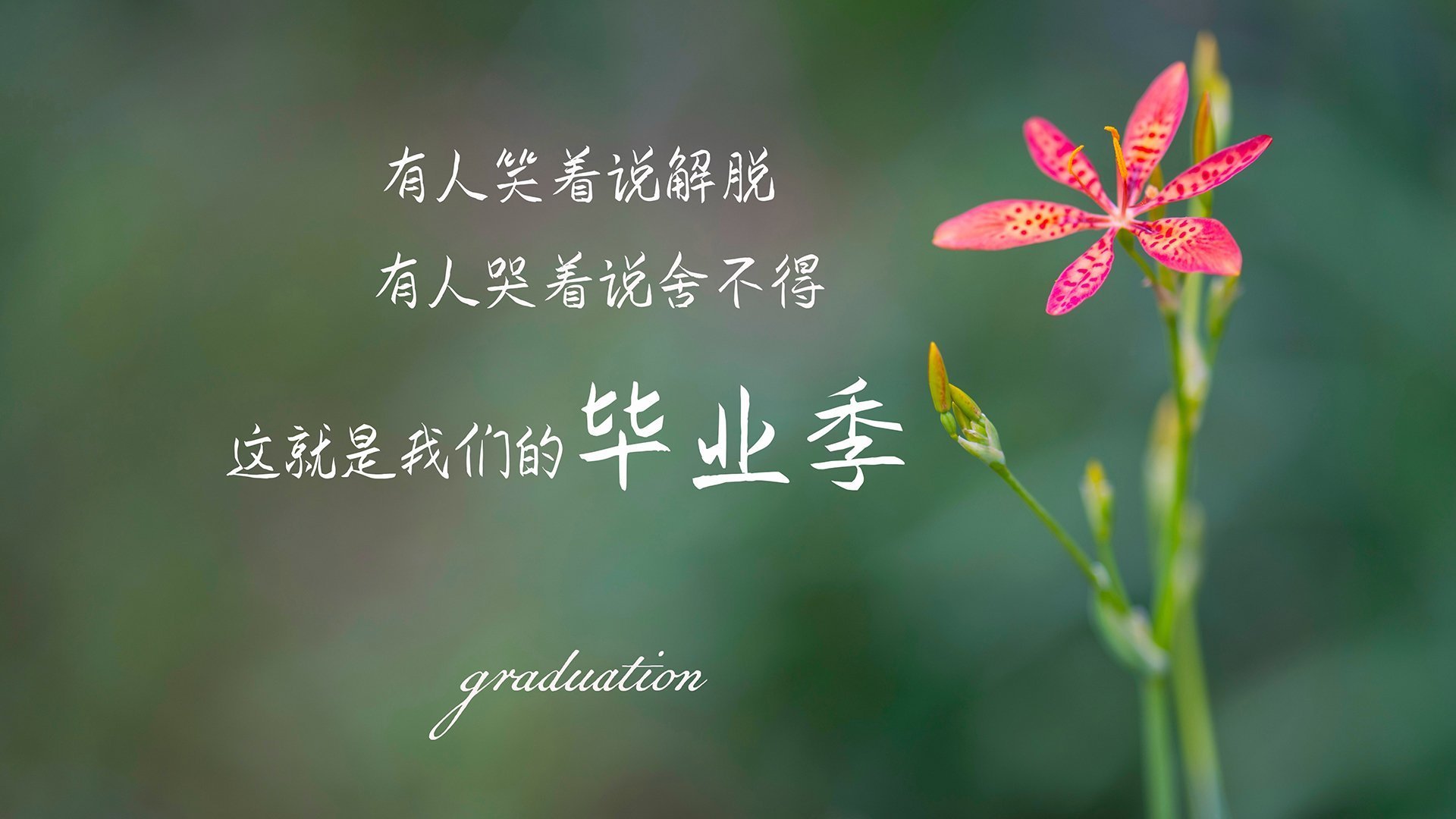 开云官方-谁将成为本季MVP候选最热人选，今年谁是mvp