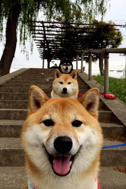 kaiyun网站-“亚戈·卡尔曼的脚下技巧与团队协作，带领阿根廷美洲狮队屡创佳绩”