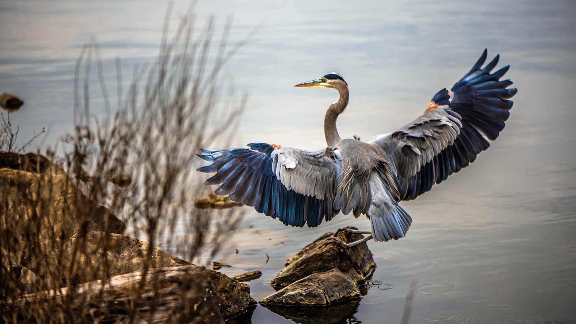 中国篮球推动教练执业年审制度保障执教质量，篮球教练员证有效期几年