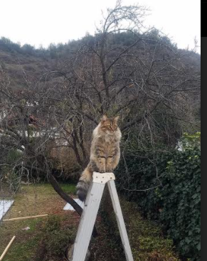 kaiyun-中超俱乐部训练基地逐步实现标准化与专业化，中超俱乐部运营