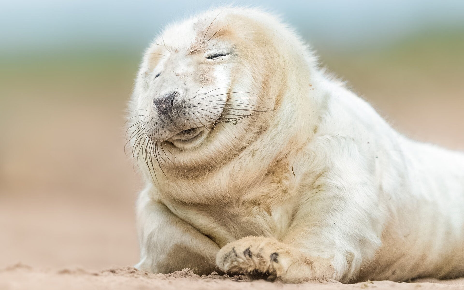 意甲团队合作：默契配合带来辉煌！，意甲球队的关系及恩怨