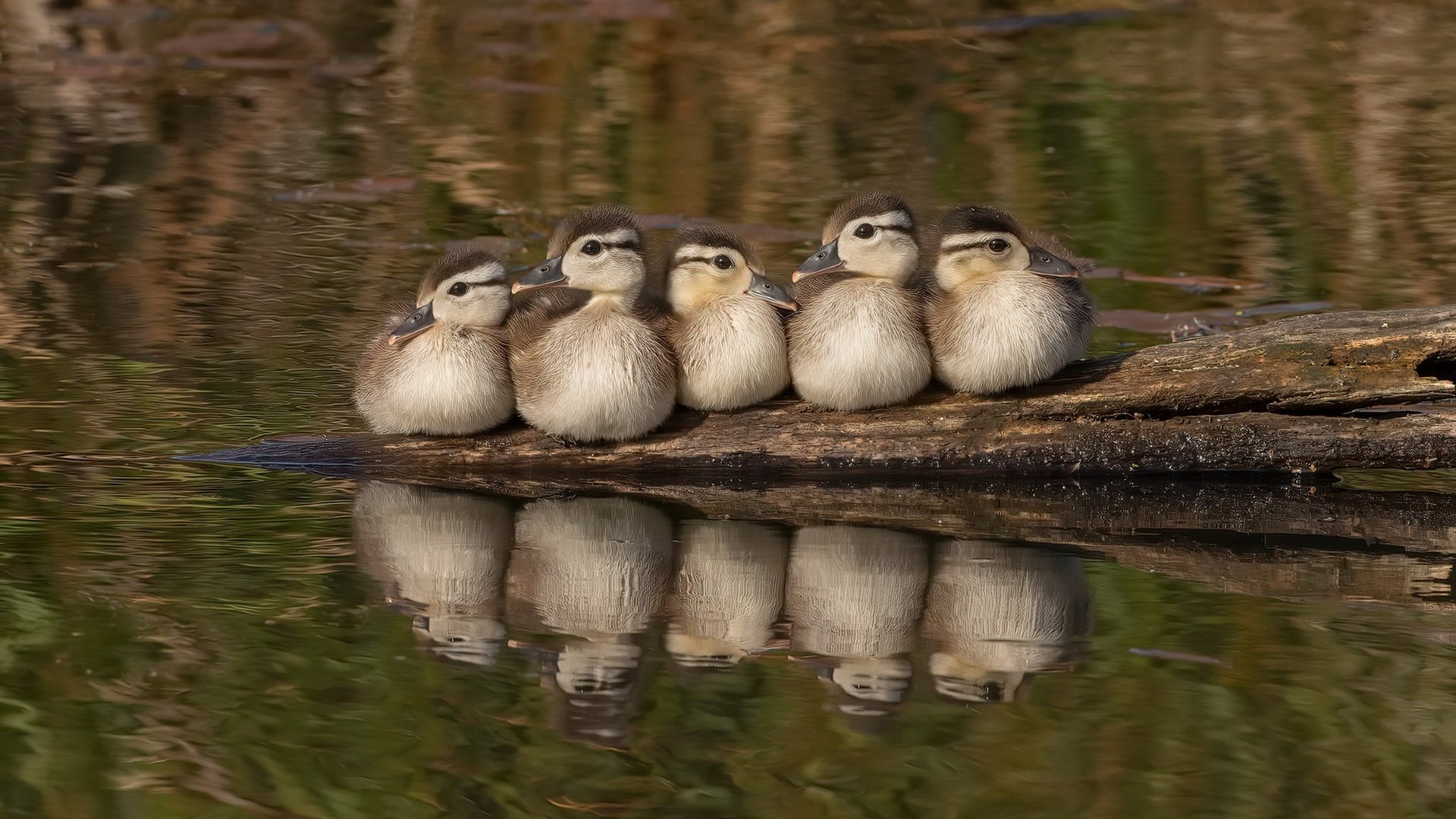 开云·Kaiyun网页版-意甲超级战役：激情与战术的完美舞台，意甲战术强在哪里