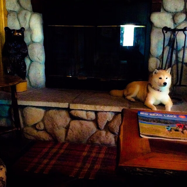 曼联客场战平主帅表示满意表现，曼联客场战绩出色