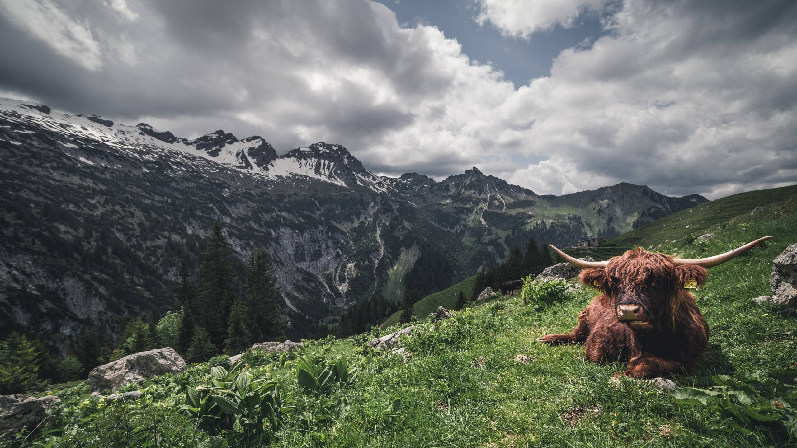 职业联赛推广球员文化活动塑造职业形象，职业球员的素养