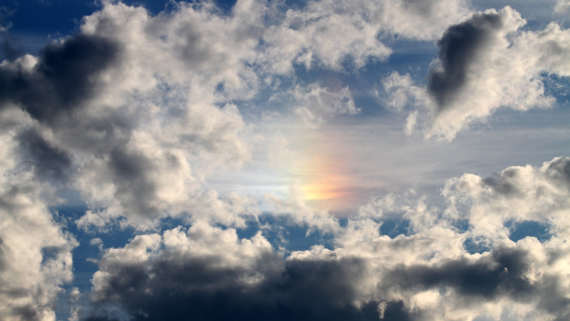 蛙泳赛场韩国刷新个人排名，韩国蛙泳欣赏视频