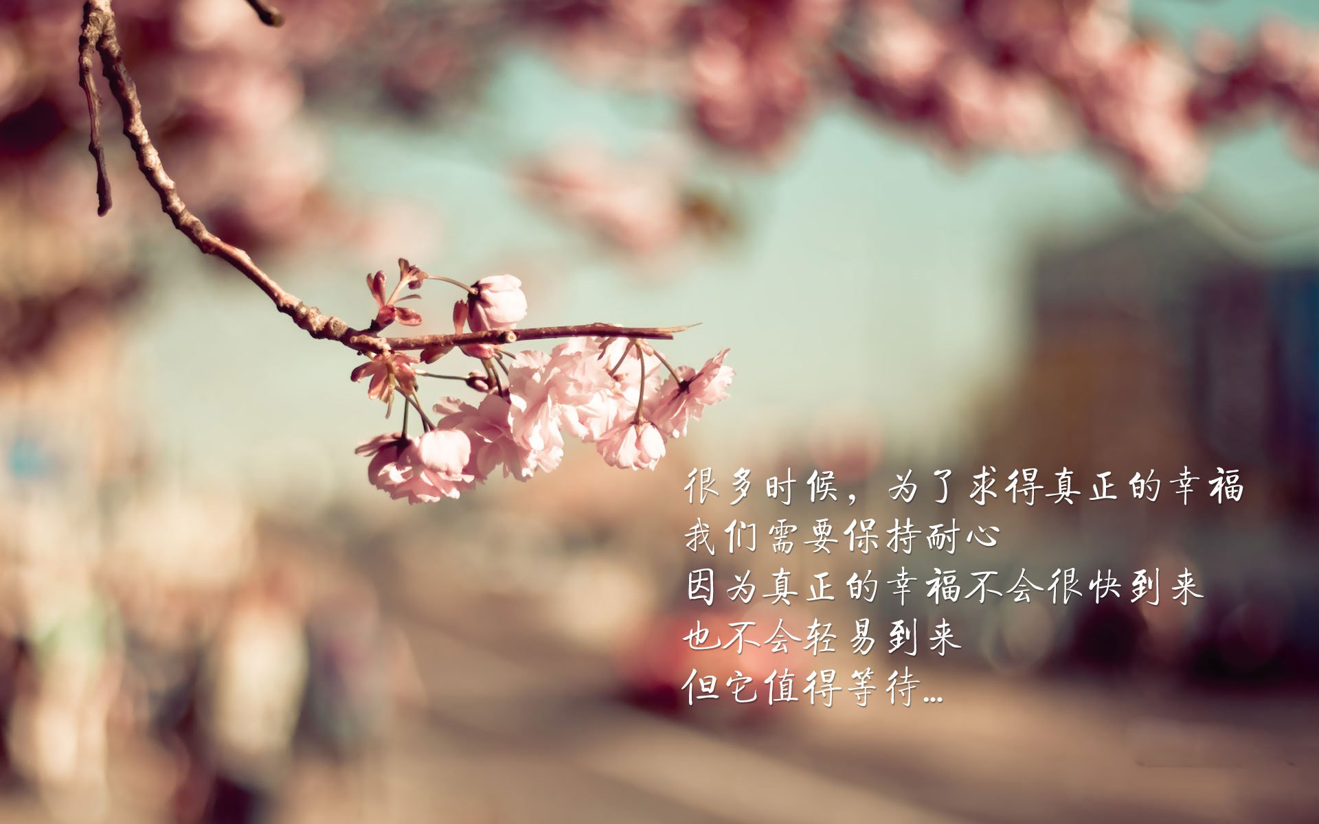 开云中国-足球赛事志愿者服务体系不断完善，提升赛事服务质量，足球赛志愿者具体干什么