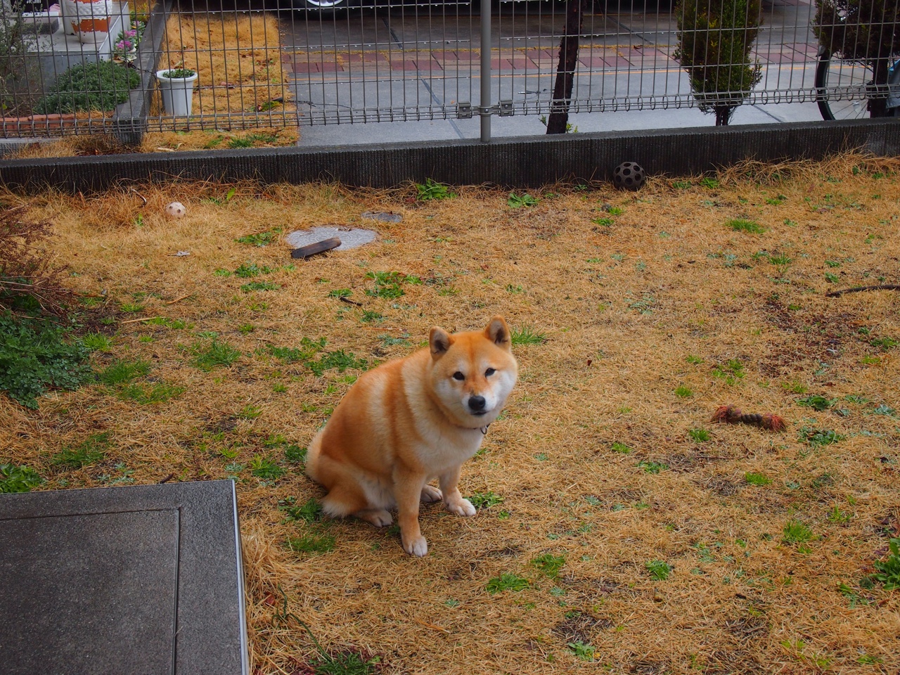 阿森纳青训持续发力，未来之星不断涌现