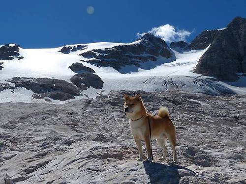 Kaiyun(中国)开云-青少年篮球赛后评估引入教练多维打分系统提升反馈效率，中国青少年篮球训练教学大纲测试指标